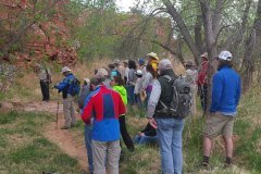 photo_20160409_092748_resized_2